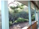 436 Arakoon Rd, Arakoon NSW 2431