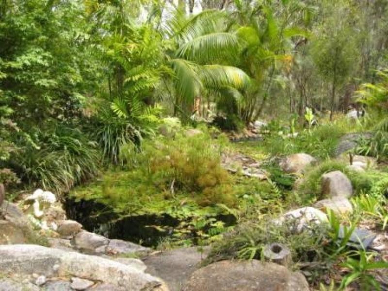 91 Arakoon Rd, Arakoon NSW 2431