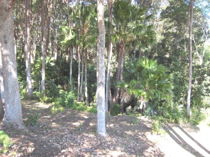 15 Cabbage Tree Lane, South West Rocks NSW 2431