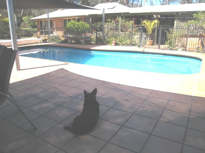 24 Cabbage Tree Lane, Arakoon NSW 2431