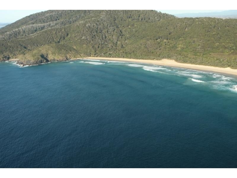 49 Palm Grove, Arakoon NSW 2431