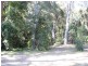 49 Palm Grove, Arakoon NSW 2431