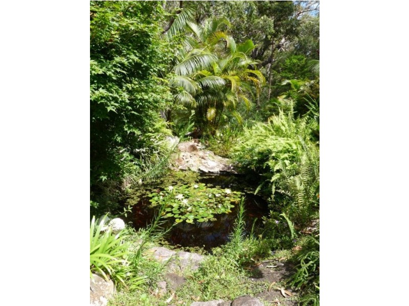 91 Arakoon Rd, Arakoon NSW 2431