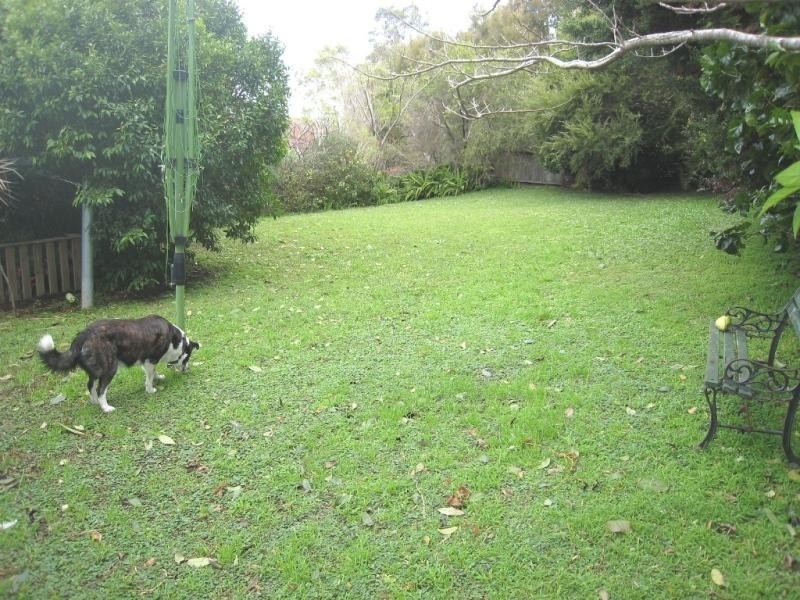 1 Dolphin Cres, South West Rocks NSW 2431