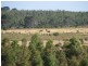 1716 Coxall Road, Munglinup WA 6450