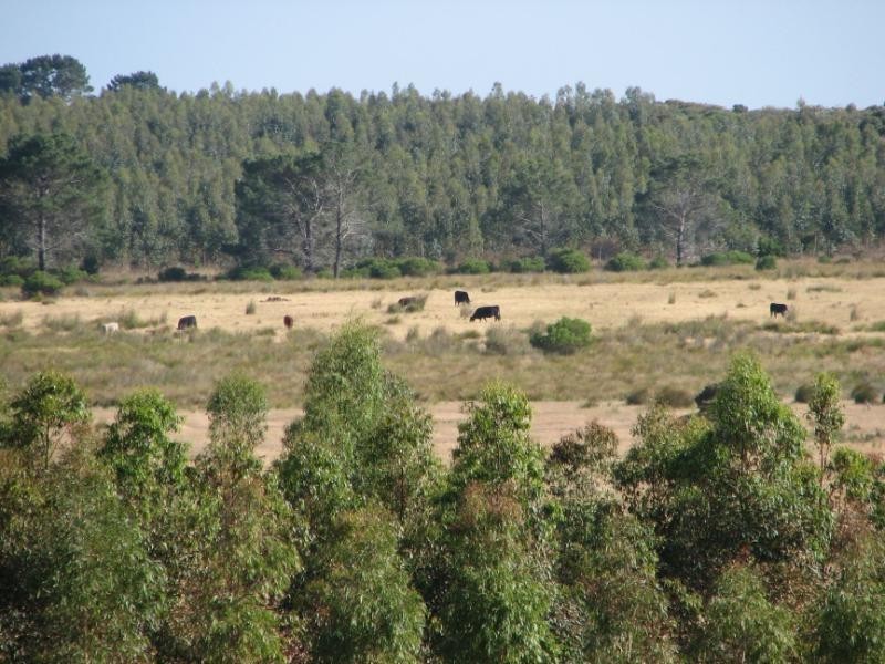 1716 Coxall Road, Munglinup WA 6450