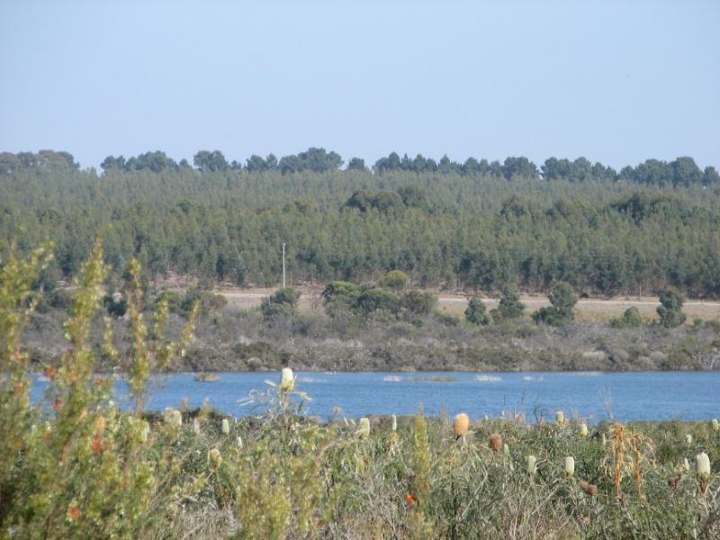 1716 Coxall Road, Munglinup WA 6450