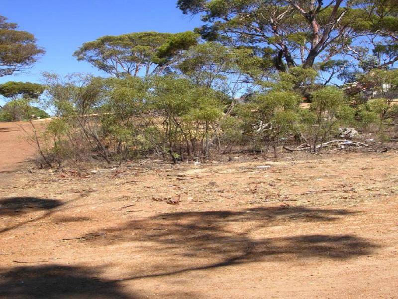 Ravensthorpe WA 6346