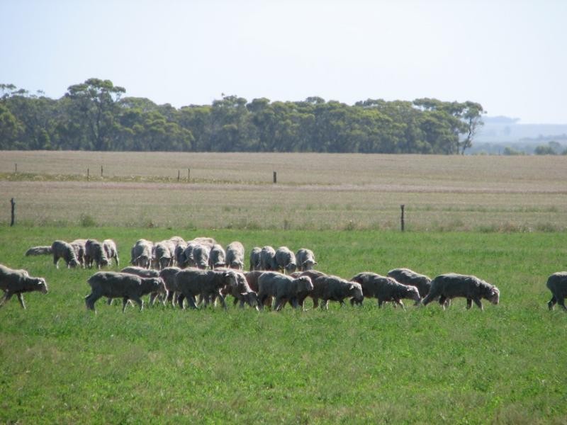 Jerramungup WA 6337