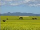 4 Koornong Rd, Ravensthorpe WA 6346