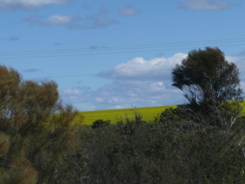 9 West Bank Close, Hopetoun WA 6348