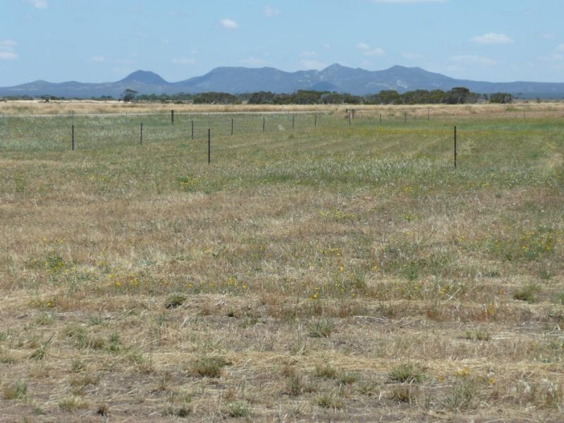 Lot 550/ Godenia Way, Hopetoun WA 6348