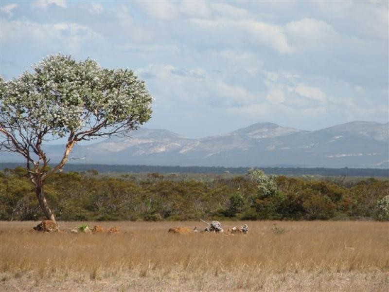 Lot 1355/ Hopetoun-Ravensthorpe Rd, Hopetoun WA 6348