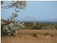 Lot 1355/ Hopetoun-Ravensthorpe Rd, Hopetoun WA 6348