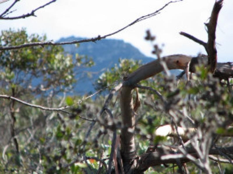 98 Whale Bay Drive, Hopetoun WA 6348