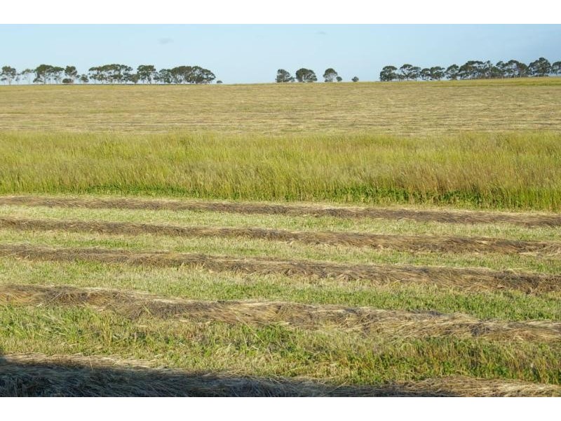 774 Middle Road, Jerdacuttup WA 6346