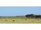 774 Middle Road, Jerdacuttup WA 6346