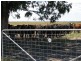 774 Middle Road, Jerdacuttup WA 6346