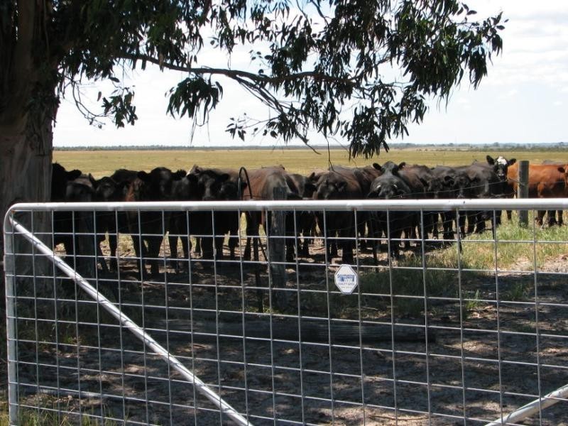 774 Middle Road, Jerdacuttup WA 6346