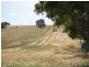 774 Middle Road, Jerdacuttup WA 6346