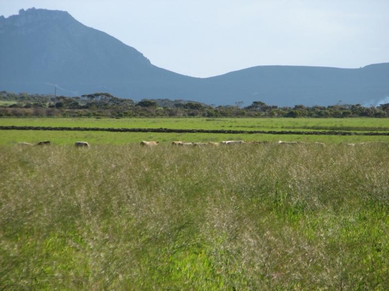 Lot 558/ Godenia Way, Hopetoun WA 6348