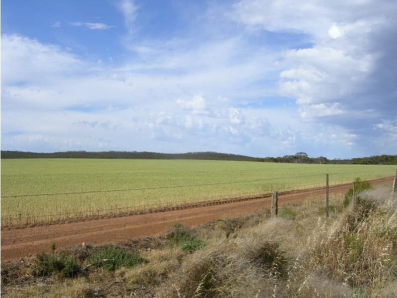 Ravensthorpe WA 6346