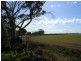 Ravensthorpe WA 6346
