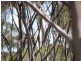 Portion of 1560 Muncaster Rd, Mount Madden WA 6356