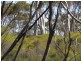 Portion of 1560 Muncaster Rd, Mount Madden WA 6356