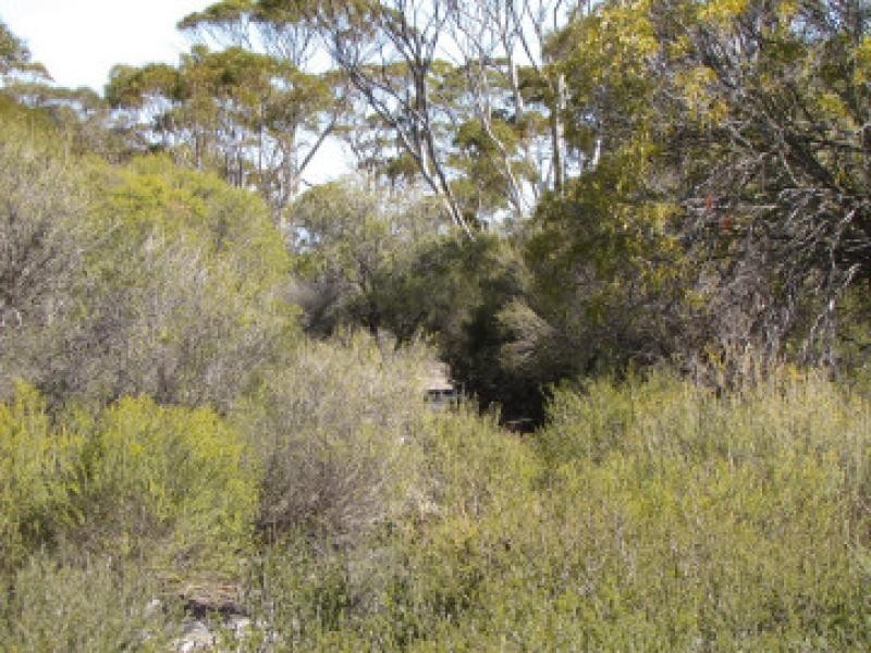 Portion of 1560 Muncaster Rd, Mount Madden WA 6356
