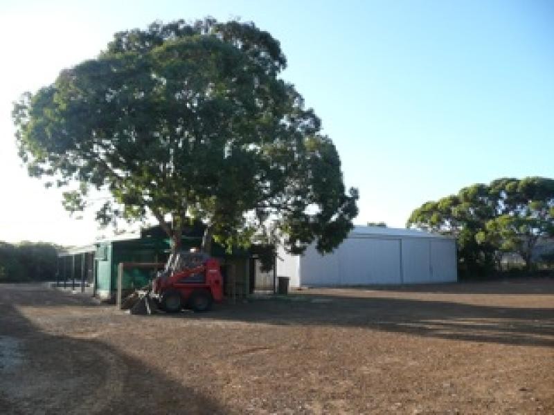 31 Tamar Street, Hopetoun WA 6348