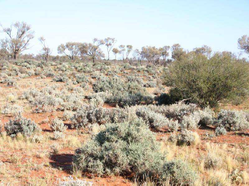 MT VIVIAN STATION, Glendambo SA 5710