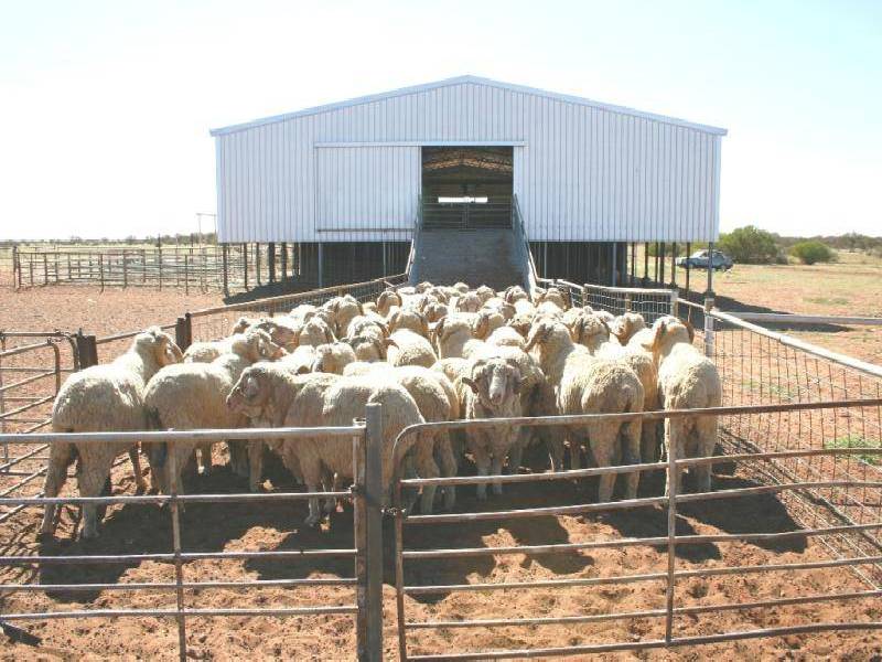 MT VIVIAN STATION, Glendambo SA 5710