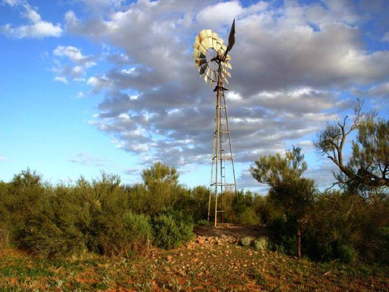 MT VIVIAN STATION, Glendambo SA 5710