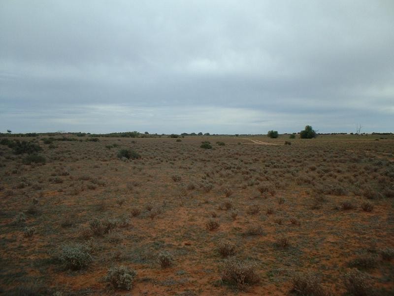 WALLERBERDINA STATION, Hawker SA 5434