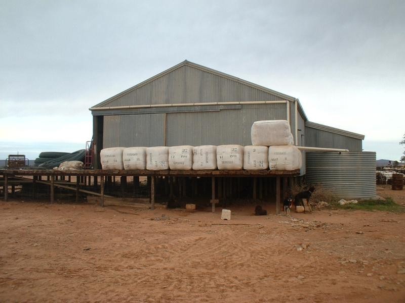 WALLERBERDINA STATION, Hawker SA 5434