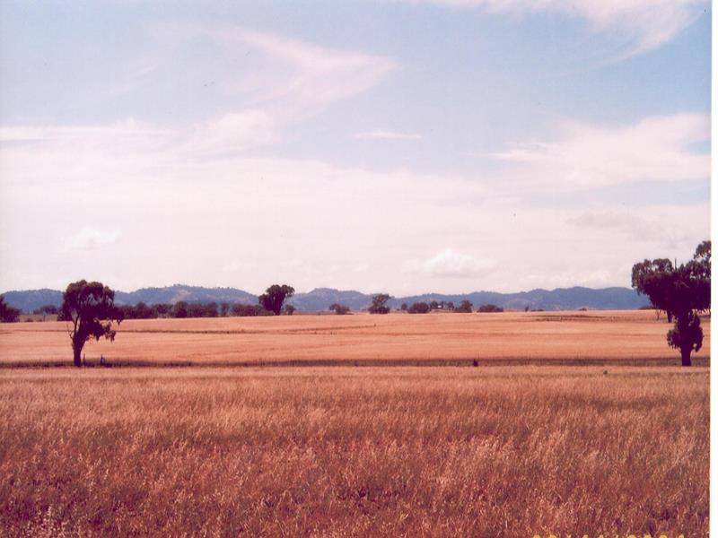 247 GIDLEY APPLEBY ROAD, Tamworth NSW 2340