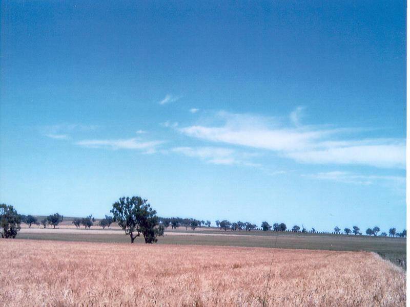 247 GIDLEY APPLEBY ROAD, Tamworth NSW 2340