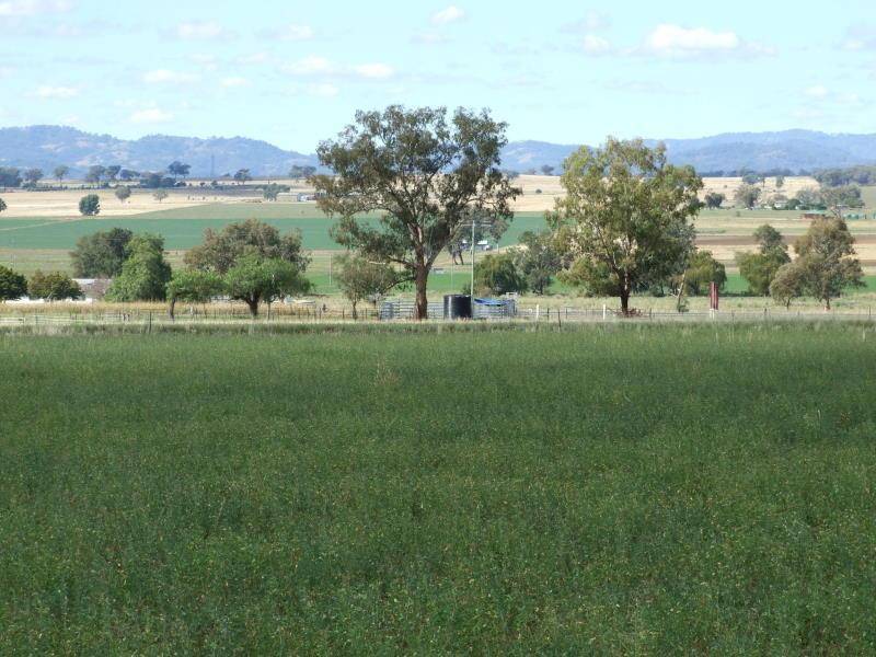 14509 NEW ENGLAND HIGHWAY,, Tamworth NSW 2340