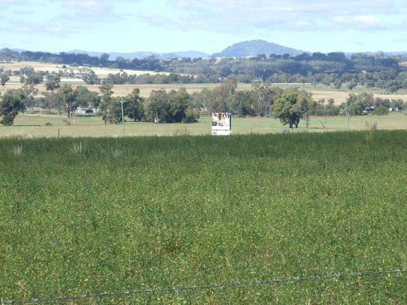 14509 NEW ENGLAND HIGHWAY,, Tamworth NSW 2340