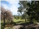 Moore Creek NSW 2340