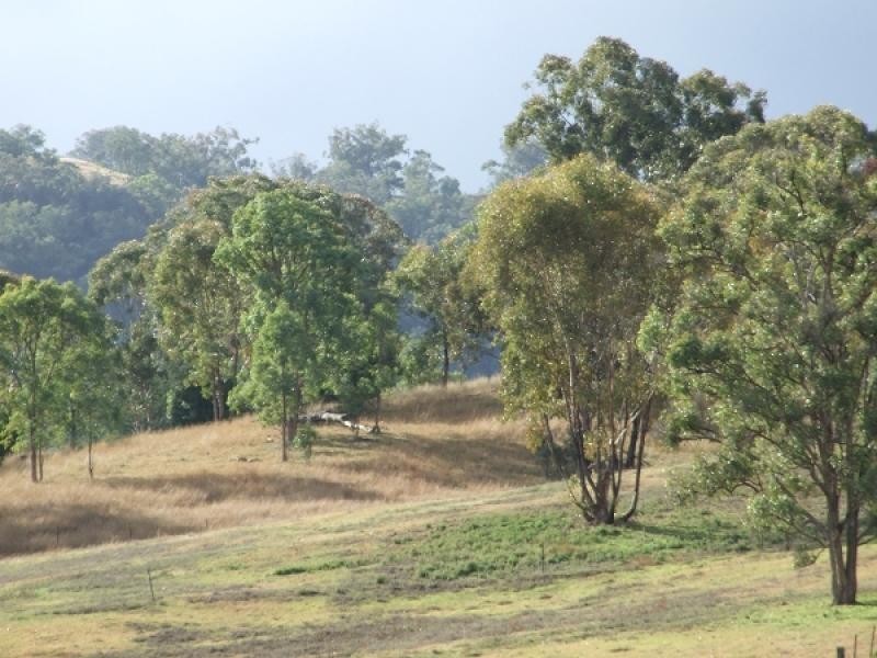 Limbri NSW 2352