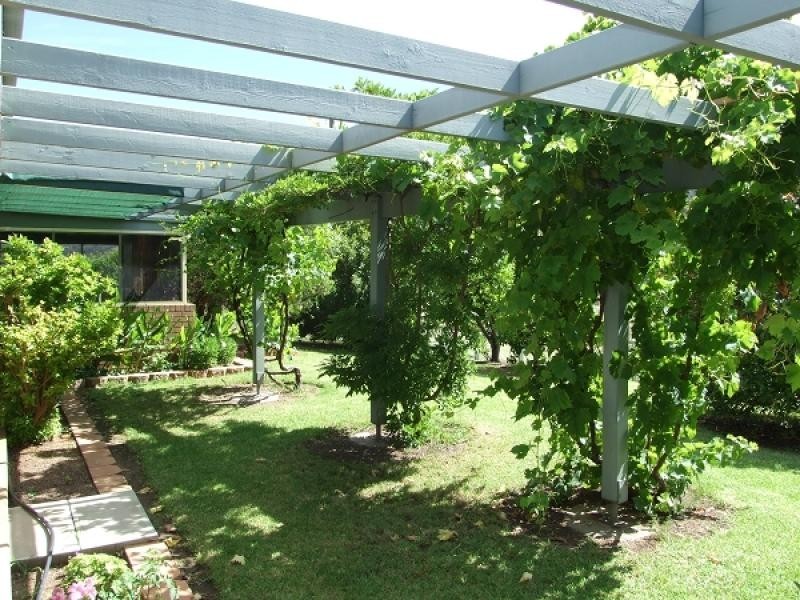 Halls Creek NSW 2346