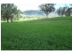 Dungowan NSW 2340