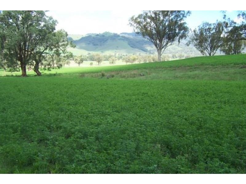 Dungowan NSW 2340