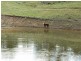 Dungowan NSW 2340