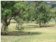 Dungowan NSW 2340