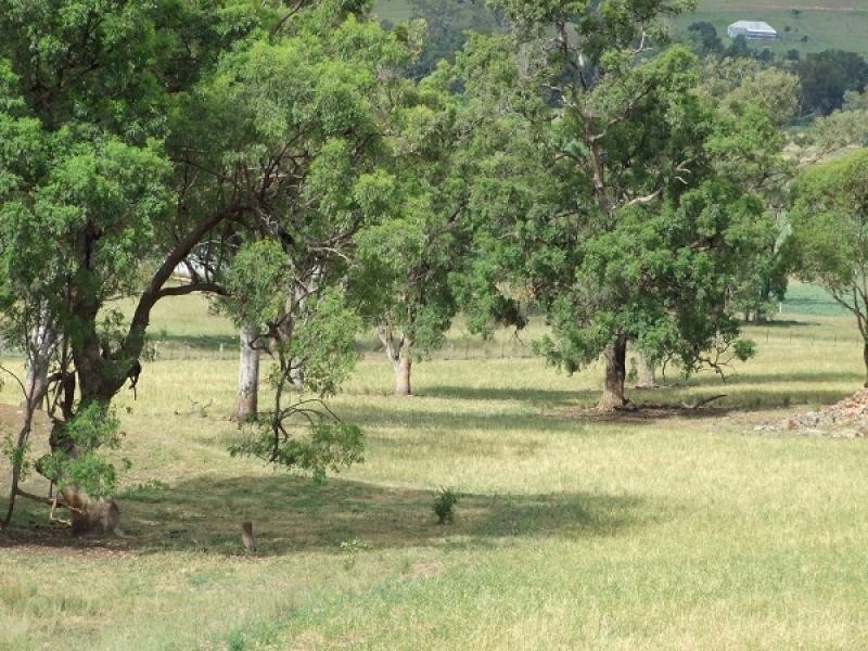 Dungowan NSW 2340