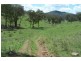 Dungowan NSW 2340