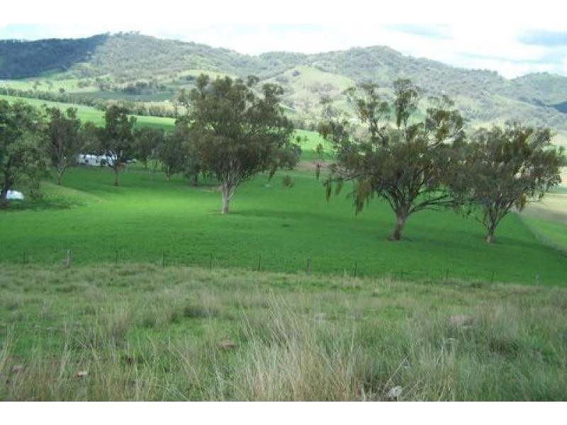 Dungowan NSW 2340